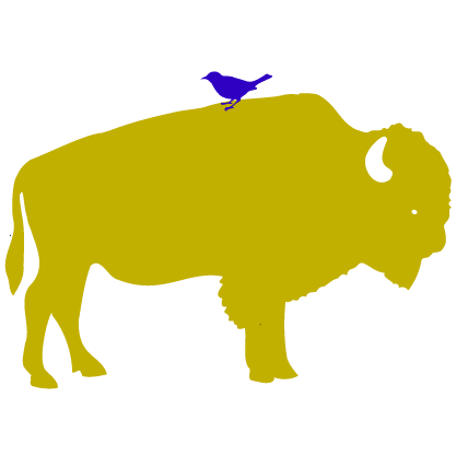 Bison & Bird