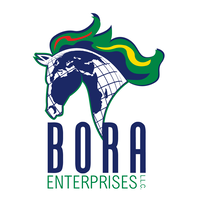 Bora Enterprises LLC