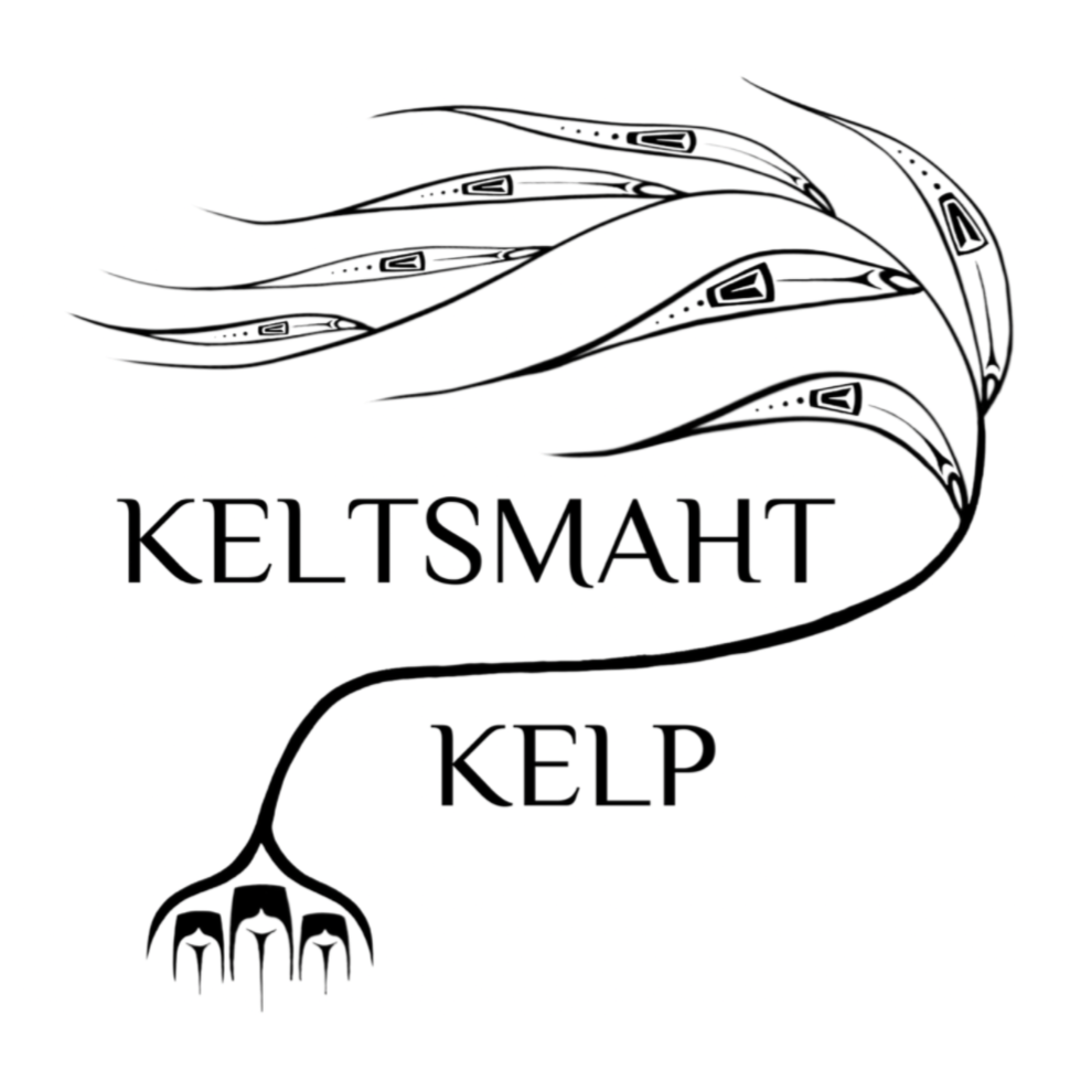 Keltsmaht Kelp