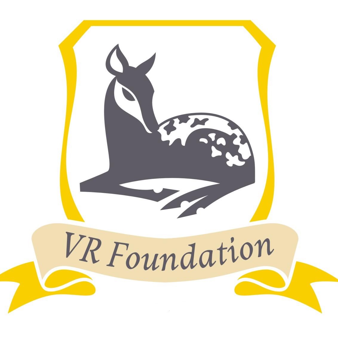 VR Foundation