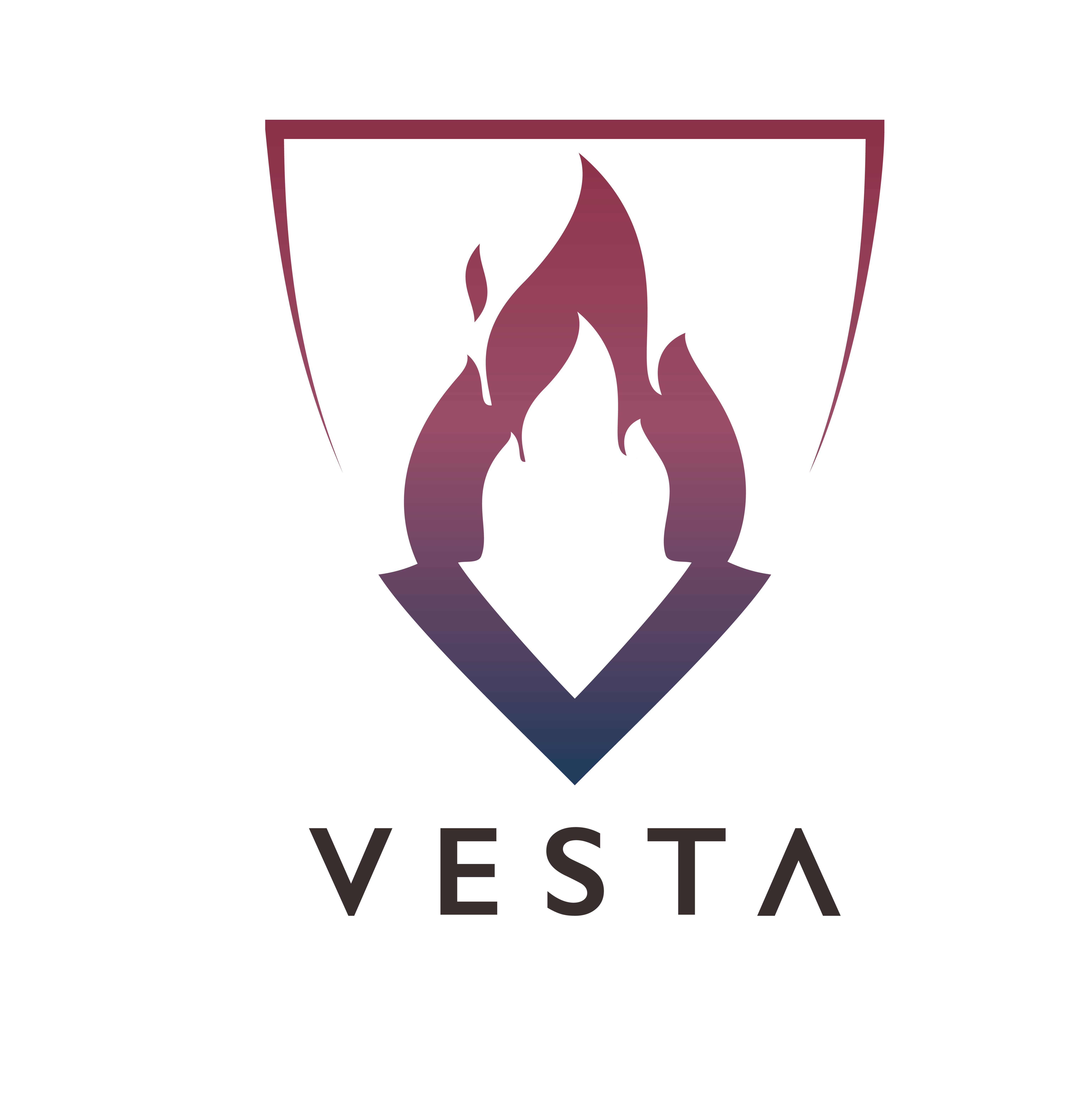Vesta Social Innovation Technologies