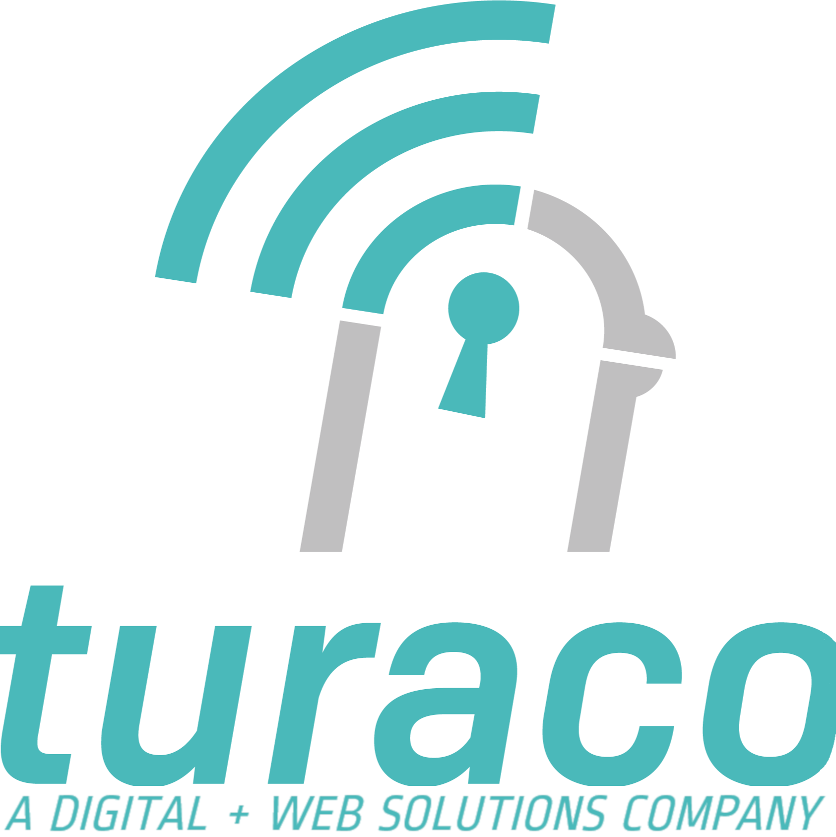 Turaco Web International Group Inc.