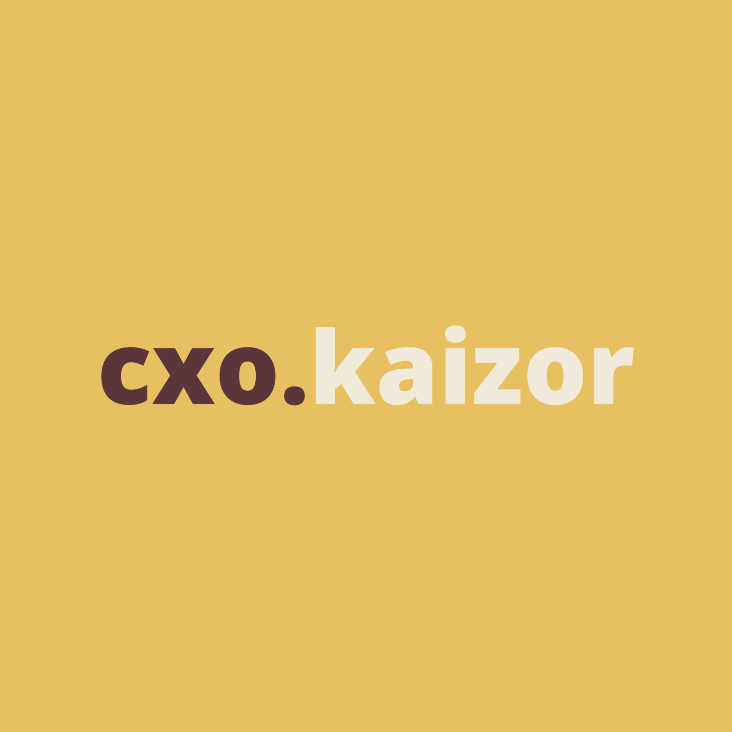 Kaizor Innovation