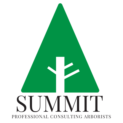 Summit SKS Limited