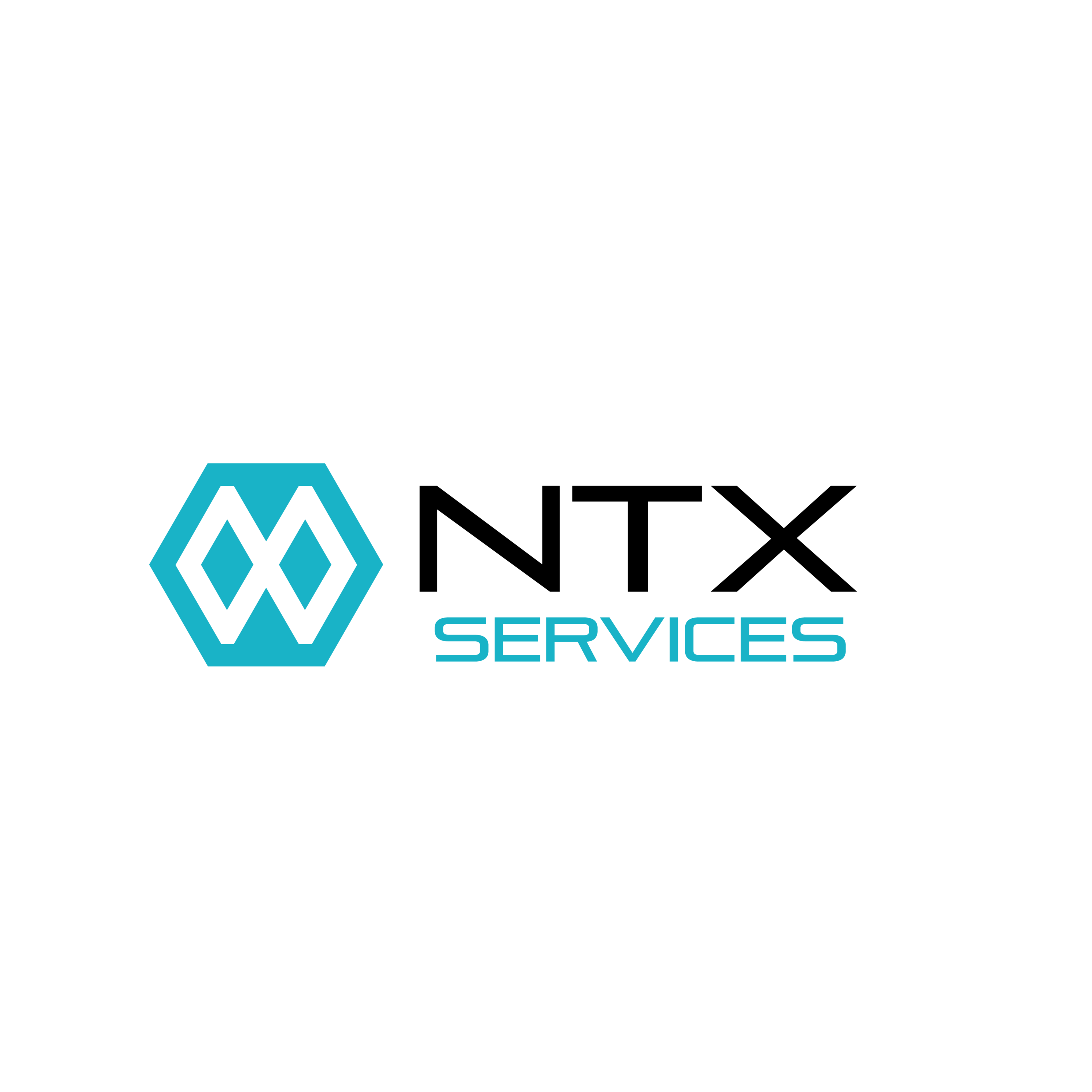 NeuroTechX Services Inc