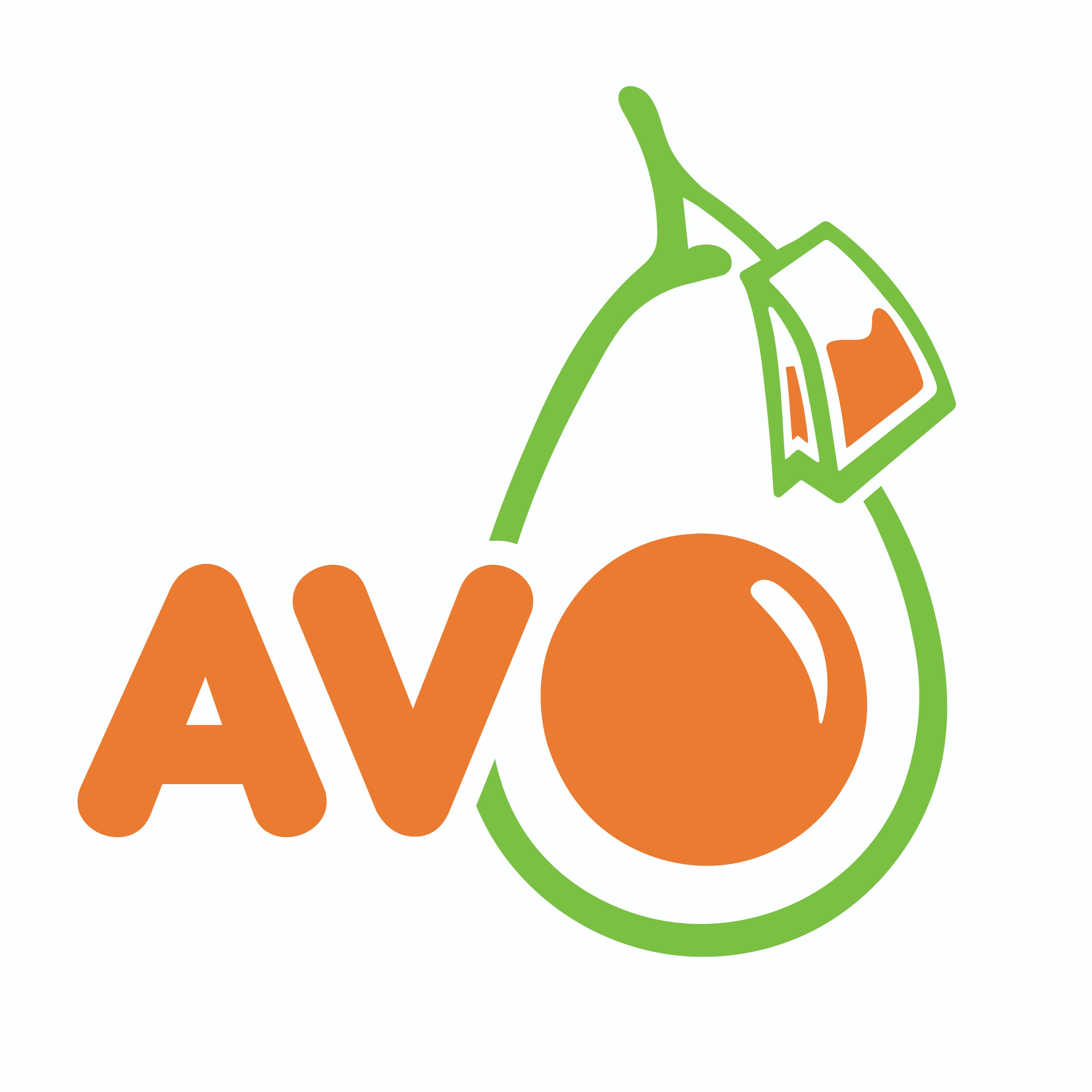 Avo Initiative Ltd