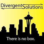 Divergent Solutions LLC