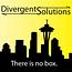 Divergent Solutions LLC