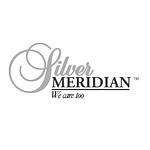 Silver Meridian