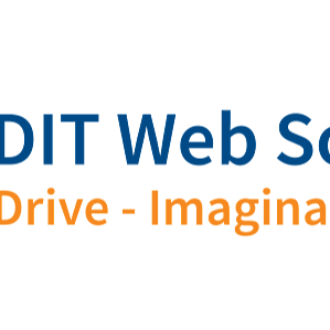 DIT Web Solutions Inc.