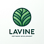Lavine Software Development