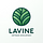 Lavine Software Development