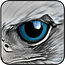 Eagle Eyes Search