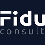 Fiduci Consulting Inc.