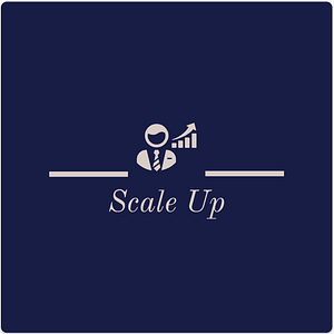 Scale Up Consulting