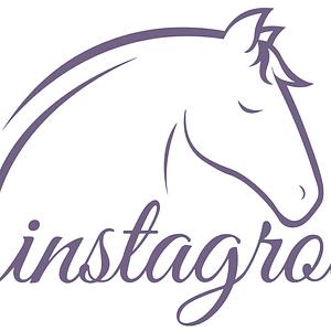 Instagrooms