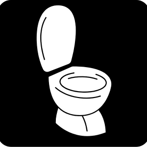 Toilet mind