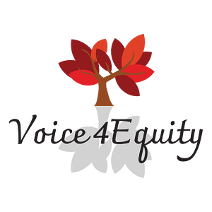 Voice4Equity LLC