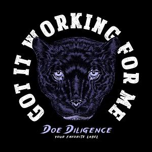 Doe Diligence Records LLC.