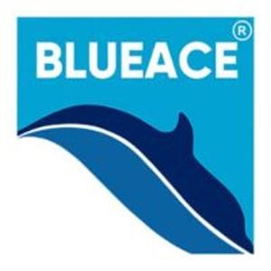 Blueace India Limited