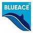 Blueace India Limited