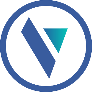 Velocity Advisory Group