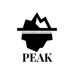 PEAK Consulting Partners