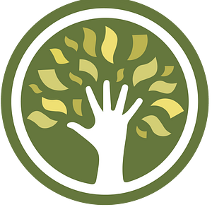 Serve Funding