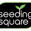 Seeding Square