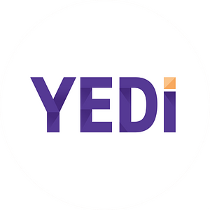 York Entrepreneurship Development Institute (YEDI)