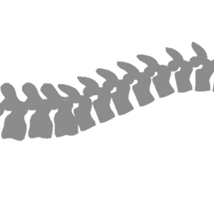 A.M.GDANSKI CHIROPRACTIC PROF CORP