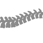 A.M.GDANSKI CHIROPRACTIC PROF CORP
