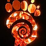ammonite.com