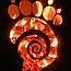 ammonite.com