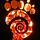 ammonite.com