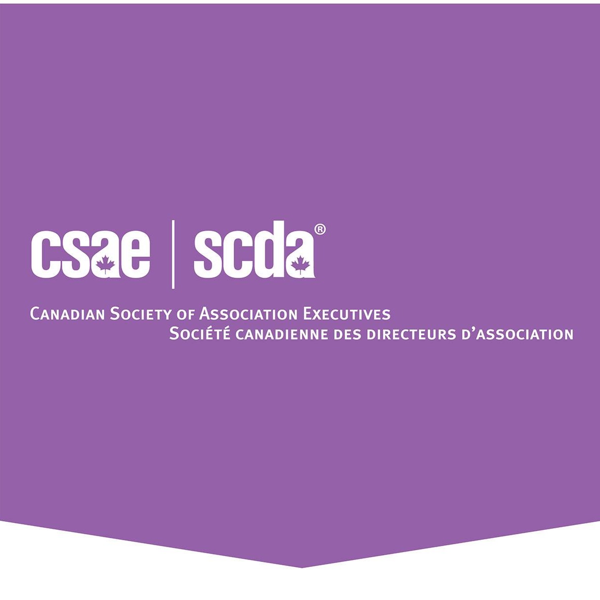 Canadian Society of Association Executives (CSAE)