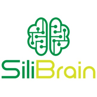 Silibrain LLC