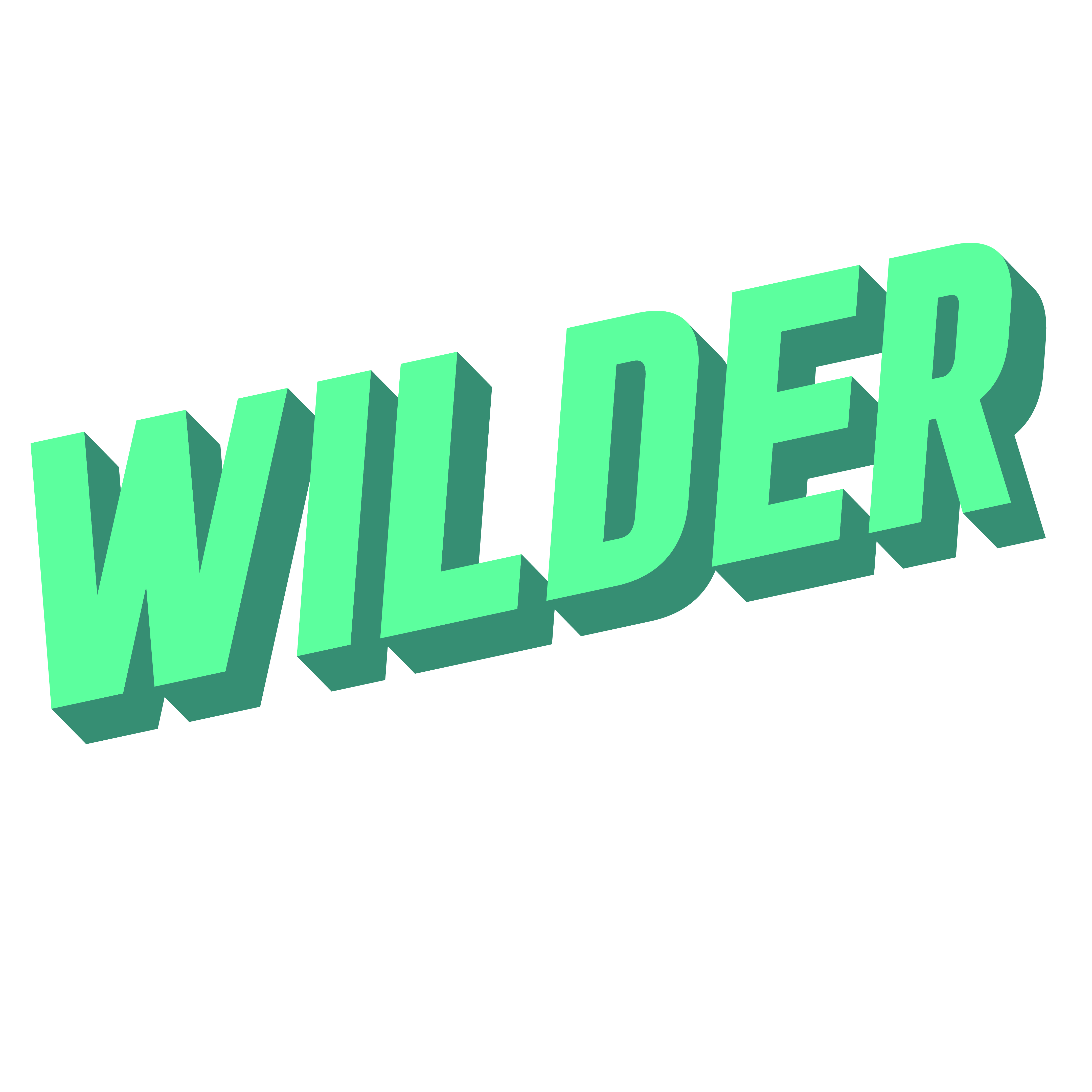 Wilder Toys INC