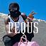 Pequs Store