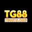 tg88 t5org