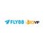 fly88jr com