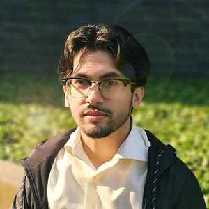 Mirsab Arif