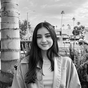 Zouhal Lateef