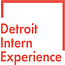 The Intern Experience