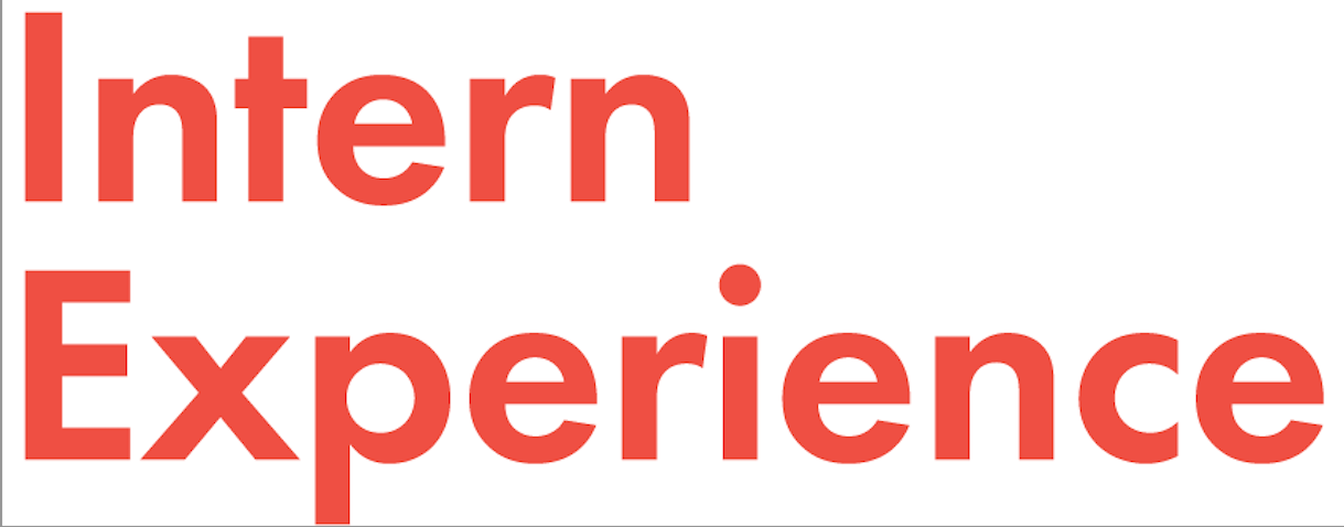 The Intern Experience